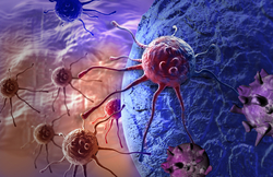 Krebszellen in der Blutbahn